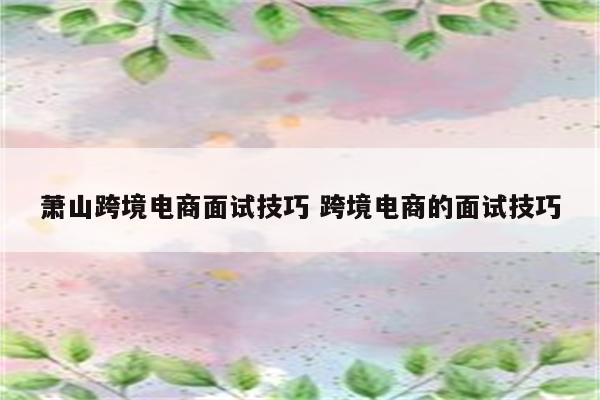 萧山跨境电商面试技巧 跨境电商的面试技巧