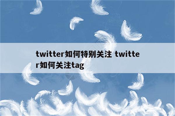 twitter如何特别关注 twitter如何关注tag