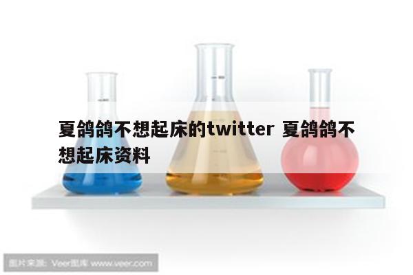 夏鸽鸽不想起床的twitter 夏鸽鸽不想起床资料