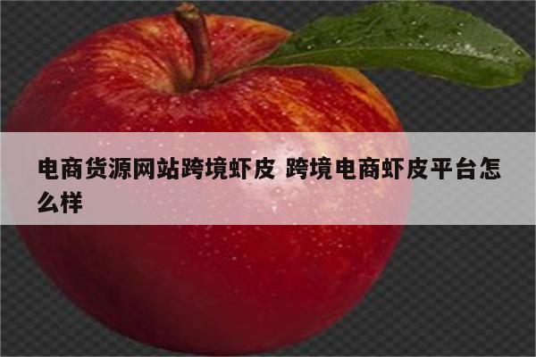 电商货源网站跨境虾皮 跨境电商虾皮平台怎么样