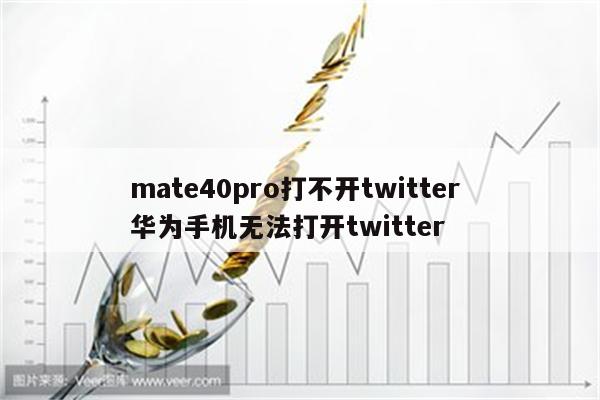 mate40pro打不开twitter 华为手机无法打开twitter