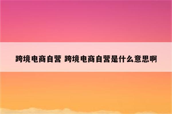 跨境电商自营 跨境电商自营是什么意思啊