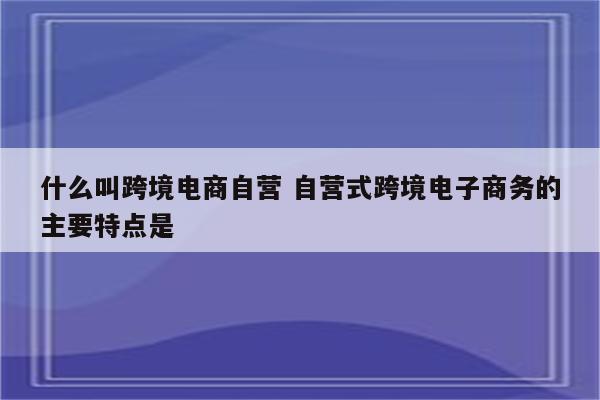 什么叫跨境电商自营 自营式跨境电子商务的主要特点是