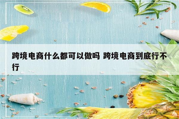 跨境电商什么都可以做吗 跨境电商到底行不行