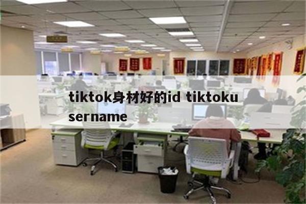 tiktok身材好的id tiktokusername