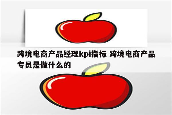 跨境电商产品经理kpi指标 跨境电商产品专员是做什么的