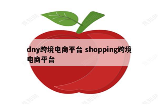 dny跨境电商平台 shopping跨境电商平台