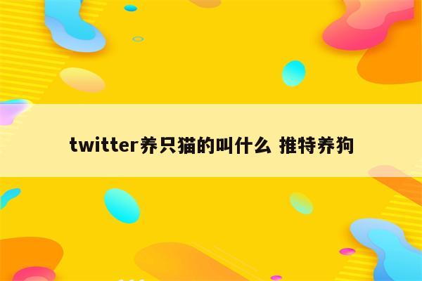 twitter养只猫的叫什么 推特养狗