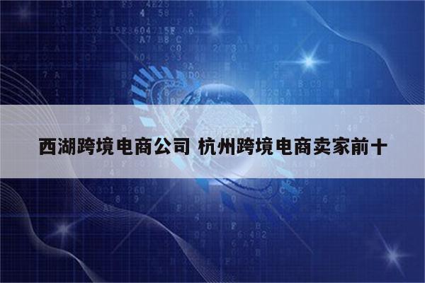 西湖跨境电商公司 杭州跨境电商卖家前十