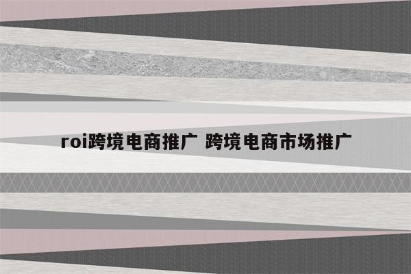 roi跨境电商推广 跨境电商市场推广