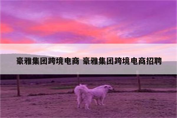 豪雅集团跨境电商 豪雅集团跨境电商招聘