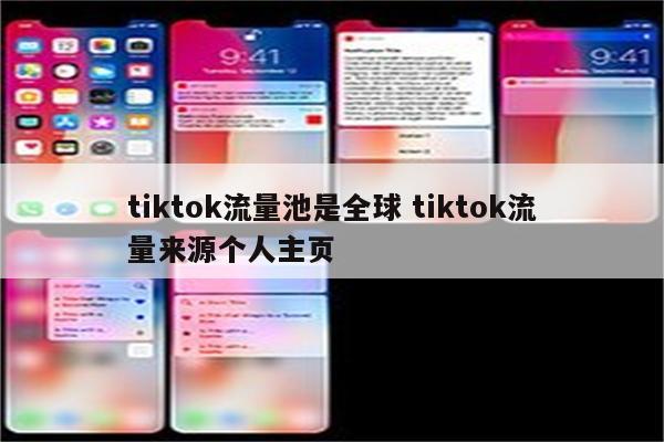 tiktok流量池是全球 tiktok流量来源个人主页