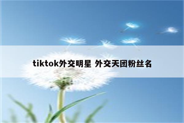 tiktok外交明星 外交天团粉丝名