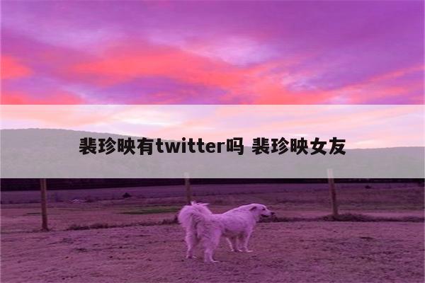 裴珍映有twitter吗 裴珍映女友