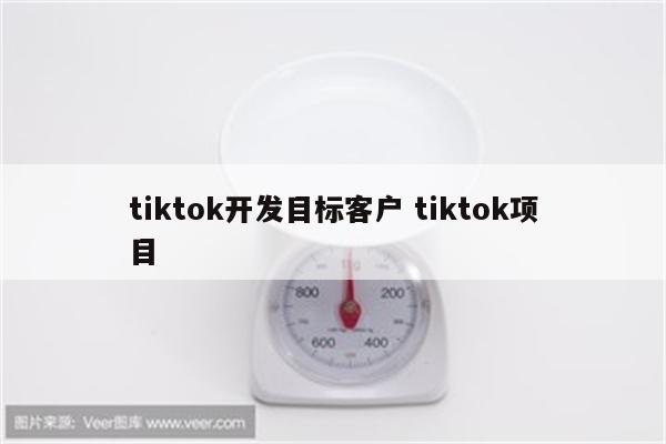 tiktok开发目标客户 tiktok项目