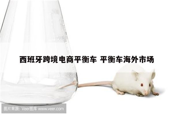 西班牙跨境电商平衡车 平衡车海外市场