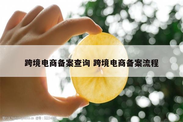 跨境电商备案查询 跨境电商备案流程