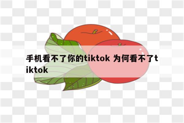 手机看不了你的tiktok 为何看不了tiktok
