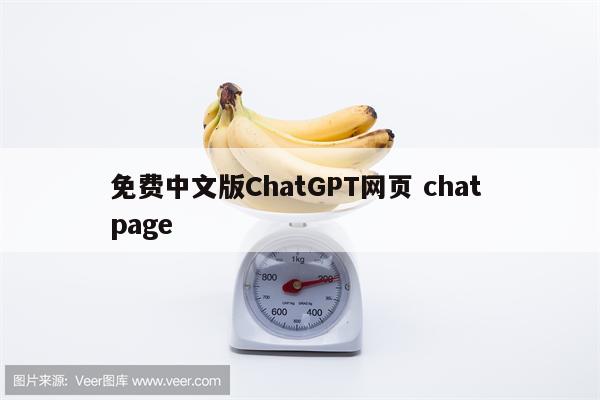 免费中文版ChatGPT网页 chat page