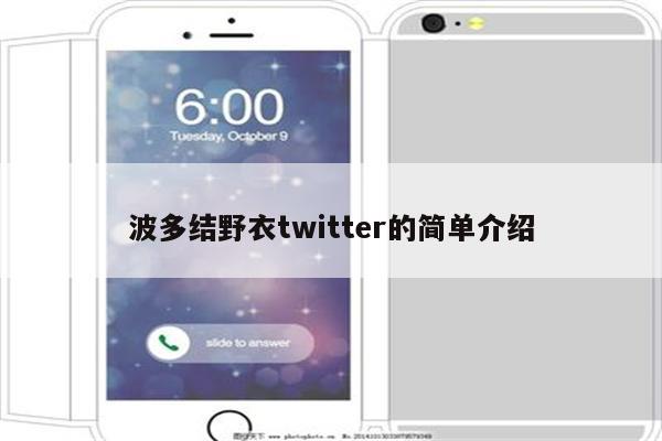 波多结野衣twitter的简单介绍