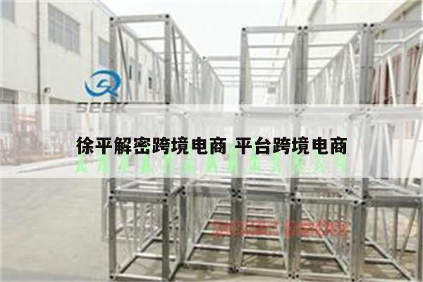 徐平解密跨境电商 平台跨境电商