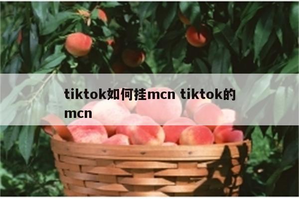 tiktok如何挂mcn tiktok的mcn