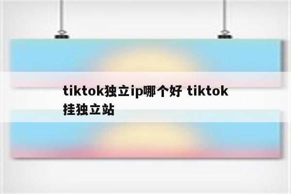 tiktok独立ip哪个好 tiktok挂独立站