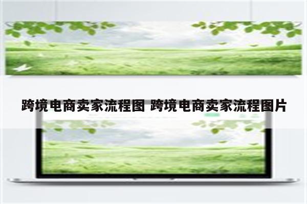 跨境电商卖家流程图 跨境电商卖家流程图片