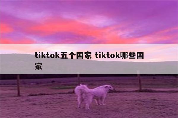 tiktok五个国家 tiktok哪些国家