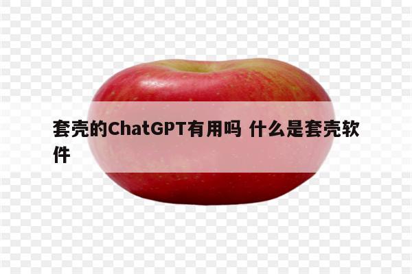 套壳的ChatGPT有用吗 什么是套壳软件