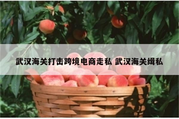 武汉海关打击跨境电商走私 武汉海关缉私