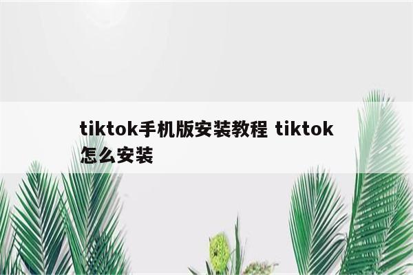 tiktok手机版安装教程 tiktok怎么安装