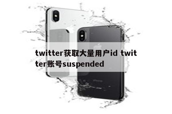 twitter获取大量用户id twitter账号suspended