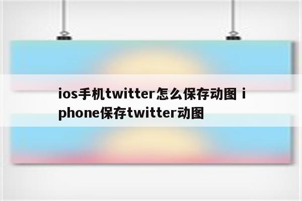 ios手机twitter怎么保存动图 iphone保存twitter动图