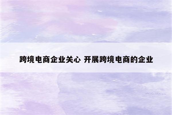 跨境电商企业关心 开展跨境电商的企业