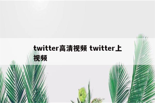twitter高清视频 twitter上视频