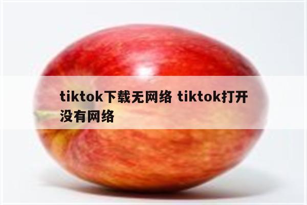 tiktok下载无网络 tiktok打开没有网络
