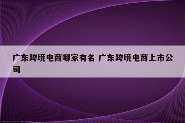 广东跨境电商哪家有名 广东跨境电商上市公司