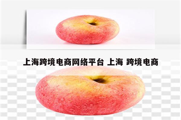 上海跨境电商网络平台 上海 跨境电商
