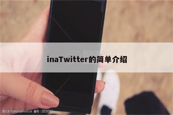 inaTwitter的简单介绍