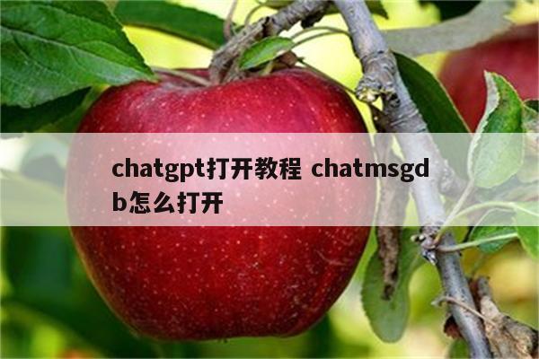 chatgpt打开教程 chatmsgdb怎么打开
