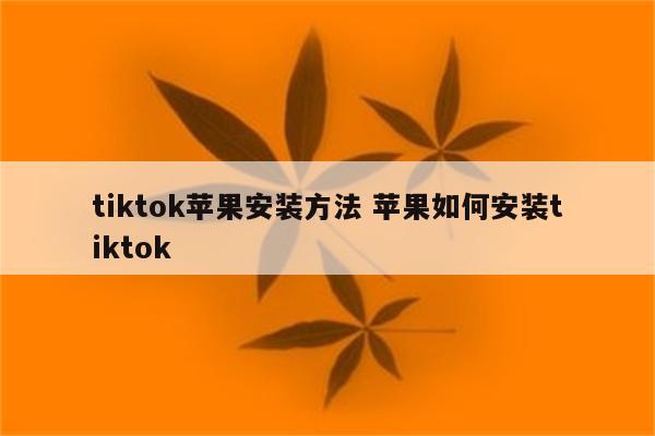 tiktok苹果安装方法 苹果如何安装tiktok