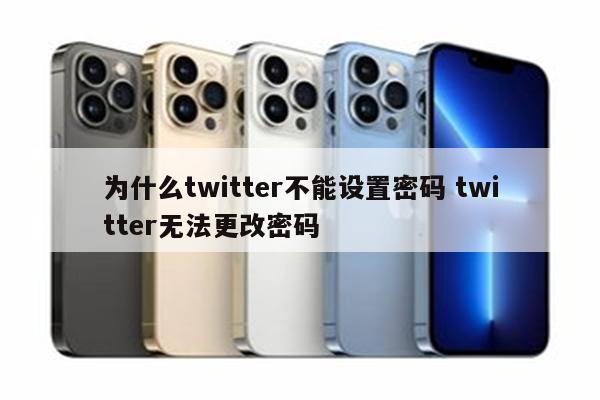 为什么twitter不能设置密码 twitter无法更改密码