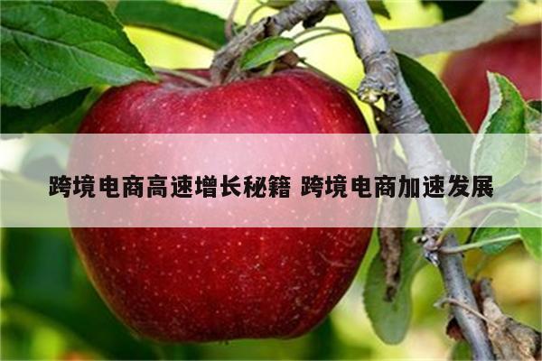 跨境电商高速增长秘籍 跨境电商加速发展