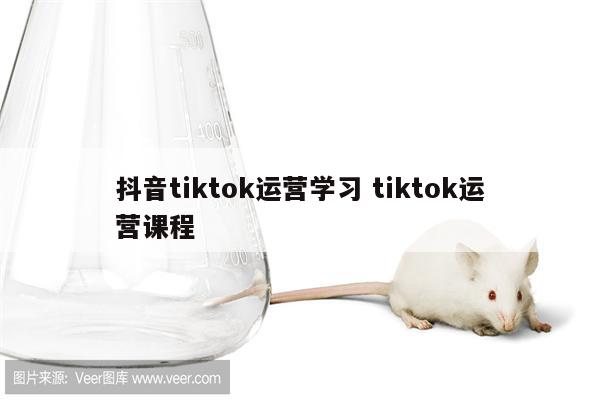 抖音tiktok运营学习 tiktok运营课程