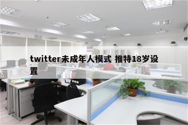 twitter未成年人模式 推特18岁设置