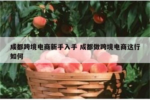 成都跨境电商新手入手 成都做跨境电商这行如何