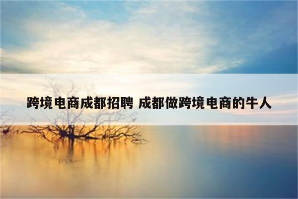 跨境电商成都招聘 成都做跨境电商的牛人