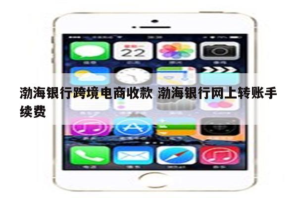 渤海银行跨境电商收款 渤海银行网上转账手续费