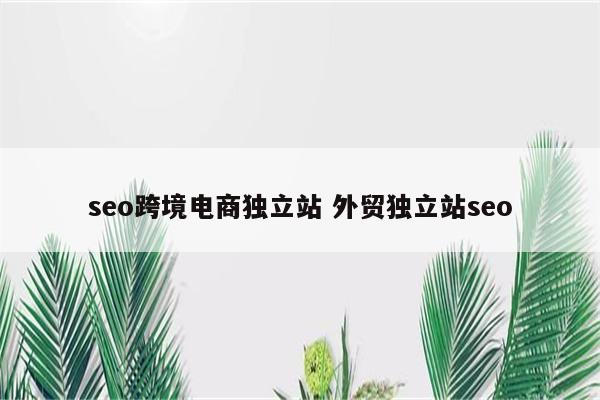 seo跨境电商独立站 外贸独立站seo